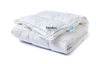 Linolux Lente/Herfst Dekbed Nature Arctica 100% Ganzendons Spring/Autumn