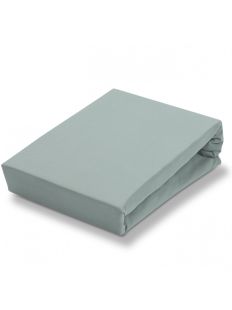Vandyck Hoeslaken Jersey Supreme topper Celadon Green