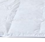Linolux Zomerdekbed Nature Arctica 100% Ganzendons Summer