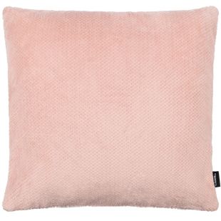 Livello Sierkussen Calvin Rose 50x50
