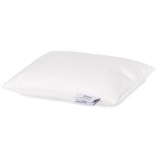 Dreamstar Reiskussen Xclusive 90% Down 23x35