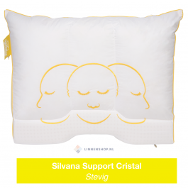 hoofdzakelijk zal ik doen Voorouder Silvana Support Kussen Cristal